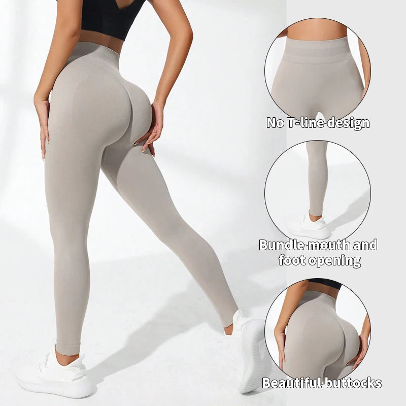 Regular  Sports Pants
